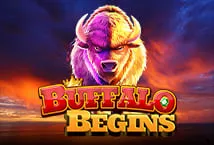 Buffalo Begins